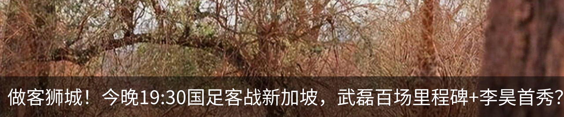 内页banner